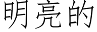 明亮的 (仿宋矢量字库)