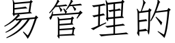 易管理的 (仿宋矢量字庫)