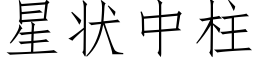 星状中柱 (仿宋矢量字库)