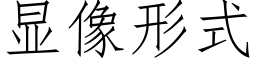 顯像形式 (仿宋矢量字庫)