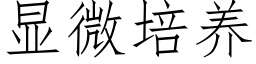 顯微培養 (仿宋矢量字庫)