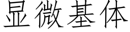 顯微基體 (仿宋矢量字庫)