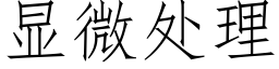 顯微處理 (仿宋矢量字庫)