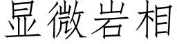 顯微岩相 (仿宋矢量字庫)