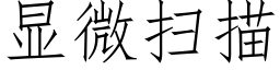 顯微掃描 (仿宋矢量字庫)