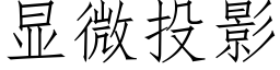 顯微投影 (仿宋矢量字庫)