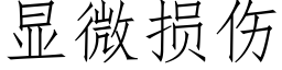 顯微損傷 (仿宋矢量字庫)