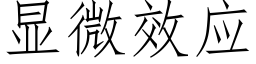 顯微效應 (仿宋矢量字庫)