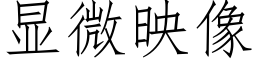 显微映像 (仿宋矢量字库)