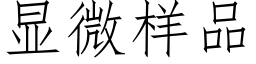 显微样品 (仿宋矢量字库)