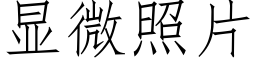 顯微照片 (仿宋矢量字庫)