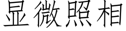 顯微照相 (仿宋矢量字庫)