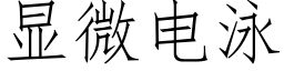 顯微電泳 (仿宋矢量字庫)