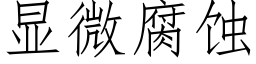 顯微腐蝕 (仿宋矢量字庫)