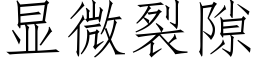 顯微裂隙 (仿宋矢量字庫)