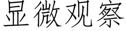 显微观察 (仿宋矢量字库)