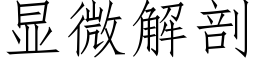 显微解剖 (仿宋矢量字库)