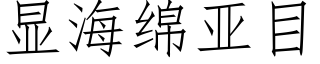 顯海綿亞目 (仿宋矢量字庫)