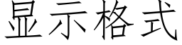 顯示格式 (仿宋矢量字庫)