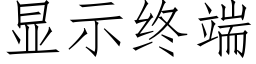 顯示終端 (仿宋矢量字庫)