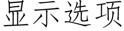 顯示選項 (仿宋矢量字庫)