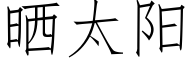 晒太阳 (仿宋矢量字库)