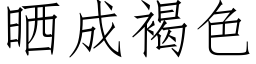 曬成褐色 (仿宋矢量字庫)