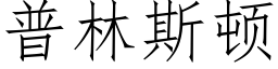 普林斯顿 (仿宋矢量字库)