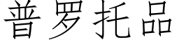 普罗托品 (仿宋矢量字库)