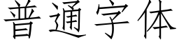 普通字體 (仿宋矢量字庫)