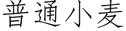 普通小麥 (仿宋矢量字庫)