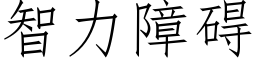 智力障碍 (仿宋矢量字库)