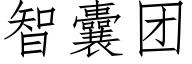 智囊团 (仿宋矢量字库)