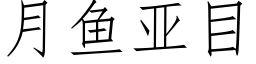 月鱼亚目 (仿宋矢量字库)