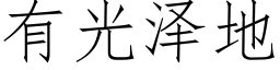 有光澤地 (仿宋矢量字庫)