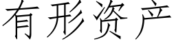 有形資産 (仿宋矢量字庫)