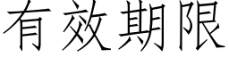 有效期限 (仿宋矢量字庫)