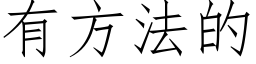 有方法的 (仿宋矢量字庫)