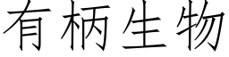 有柄生物 (仿宋矢量字庫)