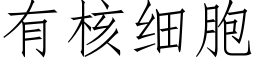 有核細胞 (仿宋矢量字庫)