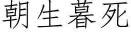 朝生暮死 (仿宋矢量字庫)