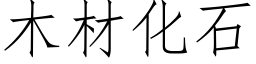 木材化石 (仿宋矢量字库)