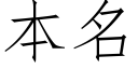 本名 (仿宋矢量字庫)