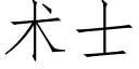 术士 (仿宋矢量字库)