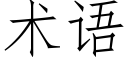 术语 (仿宋矢量字库)