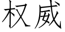 權威 (仿宋矢量字庫)