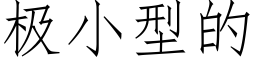 极小型的 (仿宋矢量字库)