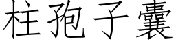 柱孢子囊 (仿宋矢量字库)