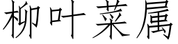 柳叶菜属 (仿宋矢量字库)