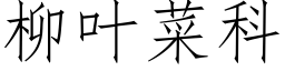 柳叶菜科 (仿宋矢量字库)